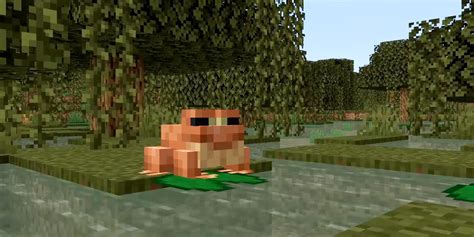 Minecraft The Wild Update Mangroves Frogs Deep Dark Caves And