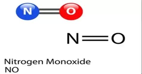 Nitrogen Monoxide - a colorless gas - Assignment Point