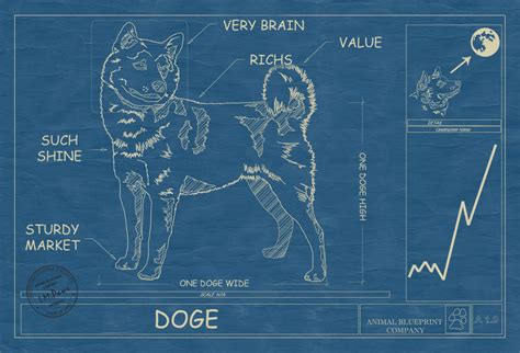 Doge Blueprints | Doge | Know Your Meme