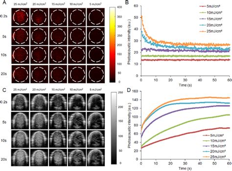 In Vitro PA US Imaging Of Nanodroplets After Dilution At 1 1000 At 1064