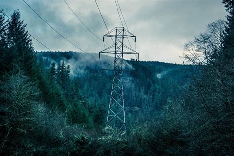 Power Lines Forest Trees Royalty Free Photo