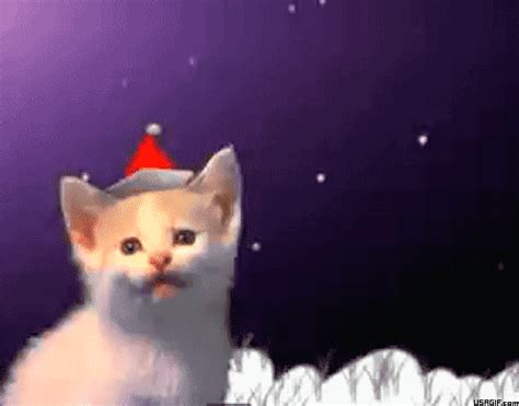 Cat Christmas GIFs | USAGIF.com