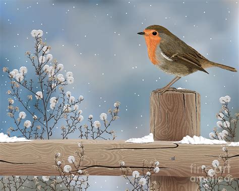 Robin On A Winter Day Painting By Andrea Hill Pixels