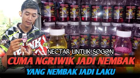 DIBIKIN MUDAH SOLUSI SOGON CUMA NGERIWIK JADI NEMBAK YANG NEMBAK JADI