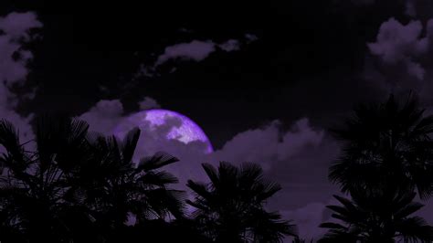 Full purple moon passing back gray cloud on night sky and silhouette ...