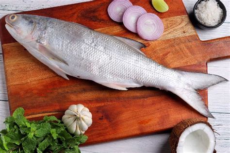 Fresh Indian Salmon Fish By Rooster Agro Fresh Indian Salmon Fish Inr