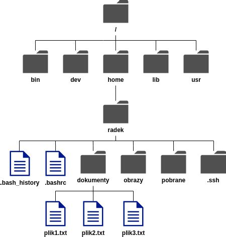 Podstawowe Polecenia Systemu Unix Rados Aw Roszczyk