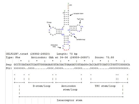 Gene Prediction In Genomic Studies Ab Initio Based Methods Angela Pena