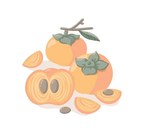 Premium Vector Hand Drawn Vector Illustration With Persimmons