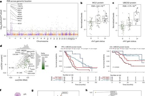 Multiple Myeloma New Insights Into Early Detection Of Aggressive Tumors