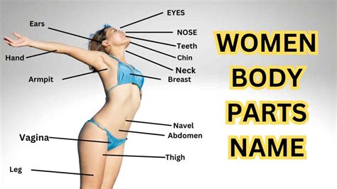 Woman Body Parts Names Complete List
