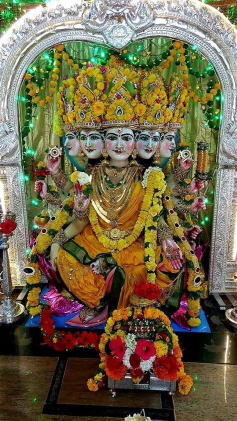 top  gayathri devi images amazing collection gayathri devi images