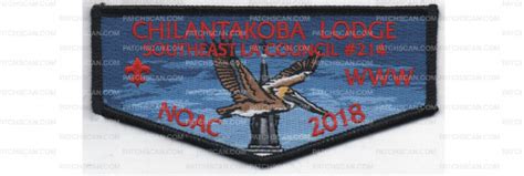 2018 NOAC Flap PO 87959 On PatchScan