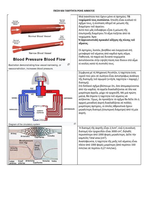 Circulation Pictures | PDF