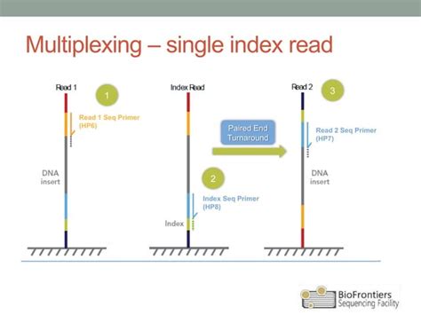 Intro To Illumina Sequencing Ppt