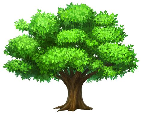 Collection Of Png Hd Images Of Trees Pluspng