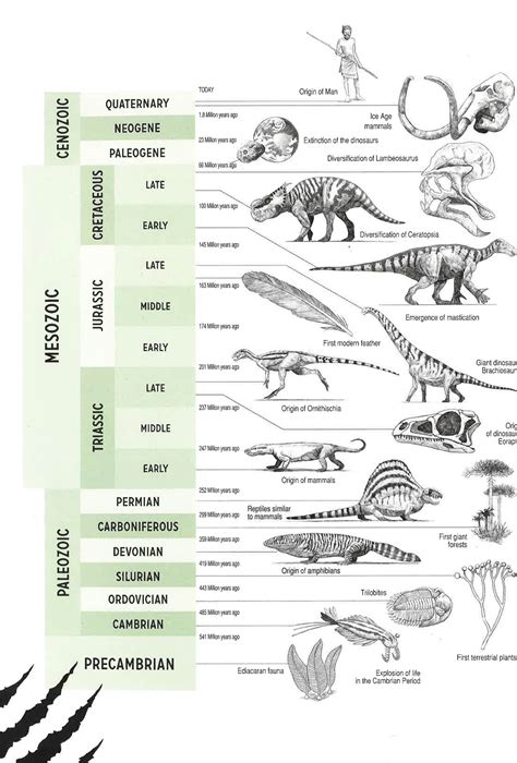 HERBIVOROUS DINOSAURS - BookXcess Online