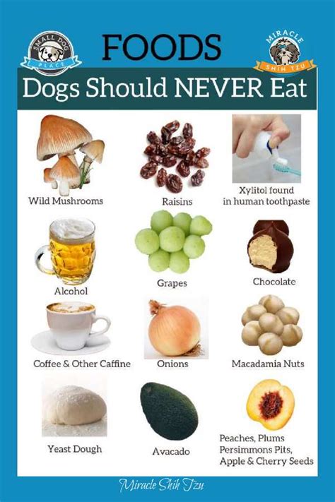 Which Nuts Are Toxic To Dogs