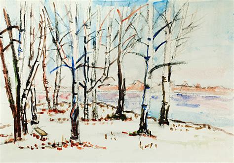 Birch Trees In Snow Watercolor