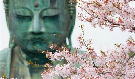 Kamakura: Things to Do on a Day Trip From Tokyo | Tokyo Cheapo