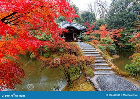 Autumn Scenery of a Beautiful Japanese Garden in Katsura Imperial Villa ...