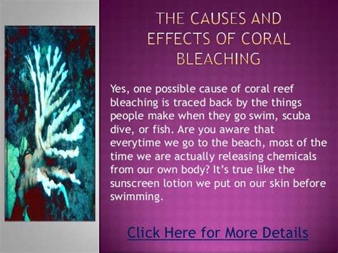 The causes and effects of coral bleaching