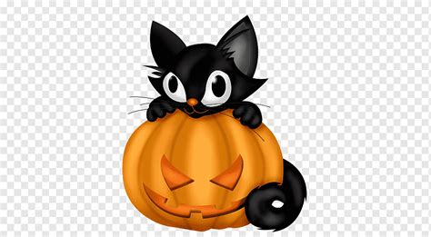 Gato preto Halloween gatinho e abóbora mamífero pintado animais png