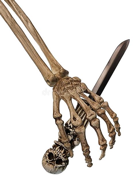 skeleton grabbing  skull dagger stock image image  head power