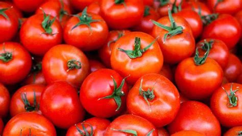 Ton Tomatoes Dumped By Coimbatore Farmers