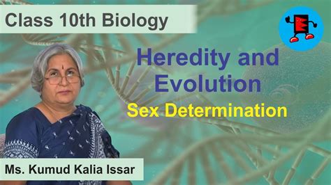 CBSE Class 10 Biology Heredity And Evolution Sex Determination YouTube