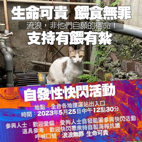 聽聞農委會將禁止餵食流浪貓狗 動保團體反彈 530將至凱道抗議 動物友善網