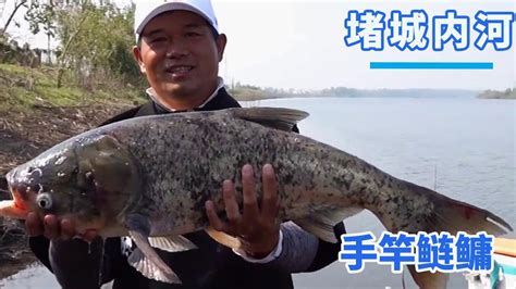 【鄧剛釣魚】堵城內河裡的巨鰱，狂拉不斷，衣服還挺好看【天元鄧剛】 Youtube