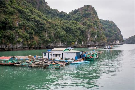 Piscifactoría flotante en ha long bay vietnam mujer vietnamita