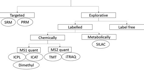 Slides Introduction To Proteomics Protein Identification