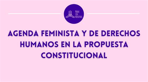 Agenda Feminista Y De Derechos Humanos En La Propuesta Constitucional Nada Sin Nosotras