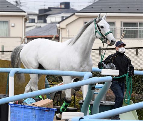 【フェブラリーs】初砂のガイアフォース「キックバックが心配」小川助手はスムーズな競馬祈る｜極ウマ・プレミアム