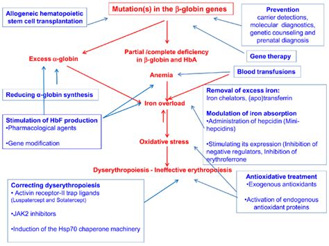 Thalassemia Signs And Symptoms