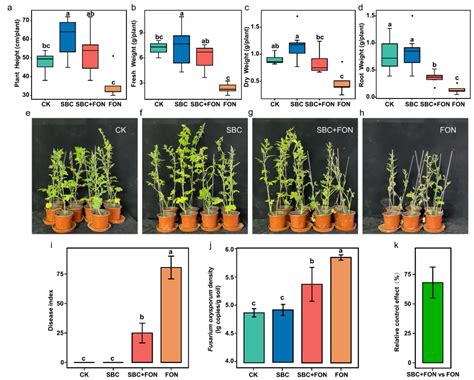 Microbiome 沈其荣院士团队利用天昊扩增子绝对定量技术揭示根际合成菌群通过微生物协同效应提高了植物抗病能力