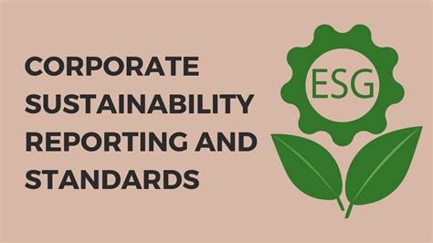 Corporate Sustainability Reporting And Standards Youtube