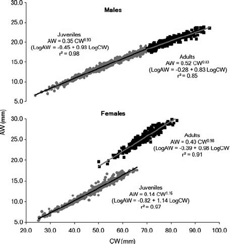 Regression Between The Variables Carapace Width Cw And Abdomen Width