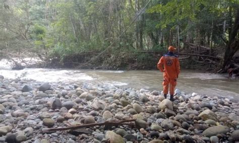 La yuca cobra una nueva víctima Don Tamalio