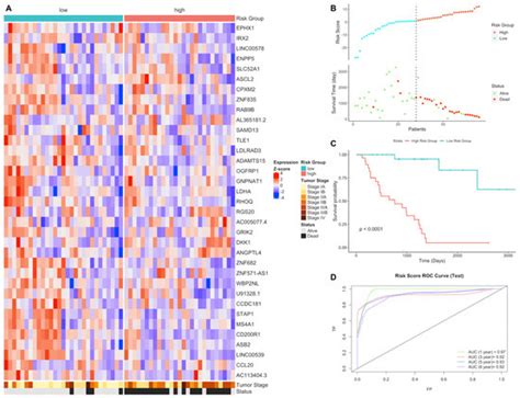 Jpm Special Issue Recent Developments In Cancer Systems Biology