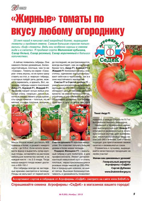 Мажор Томат Описание Фото – Telegraph