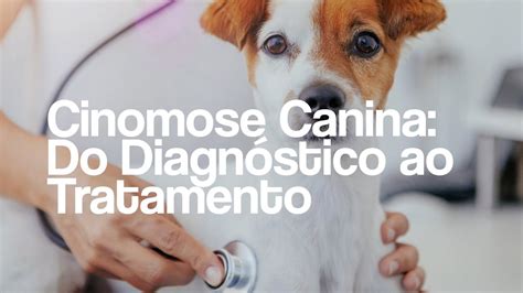 Telessaúde Goiás Cinomose Canina Do Diagnóstico ao Tratamento YouTube