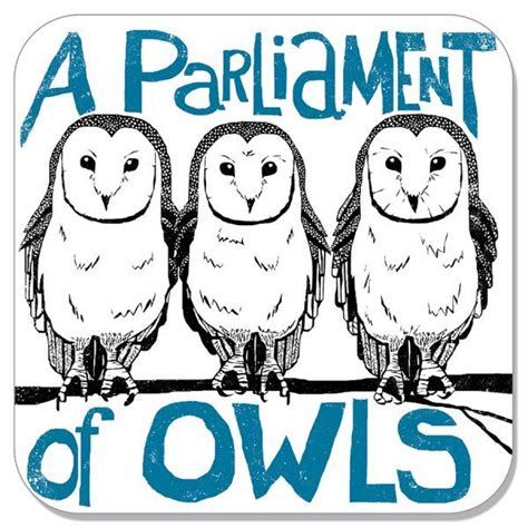 Parliament Of Owls Coaster Collective Nouns Animal Collective