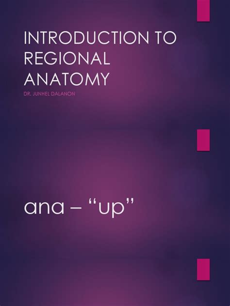 Introduction To Regional Anatomy | PDF | Anatomical Terms Of Motion ...