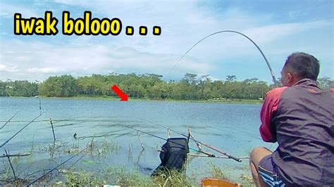 Kita Coba Lagi Masih Adakah Nila Nila Babonnya Mancing Ikan Nila