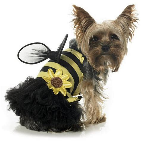 Funny Halloween Dog Costumes - XciteFun.net