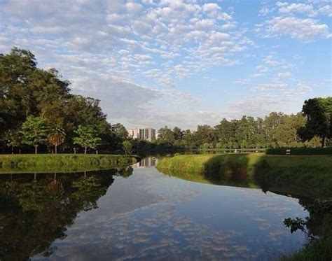 O Parque Ibirapuera é um parque histórico e como tal deve ser tratado