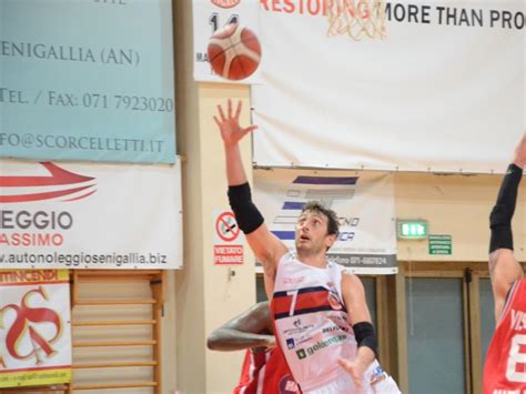 Basket serie B Goldengas Senigallia col Fiorenzuola è un big match